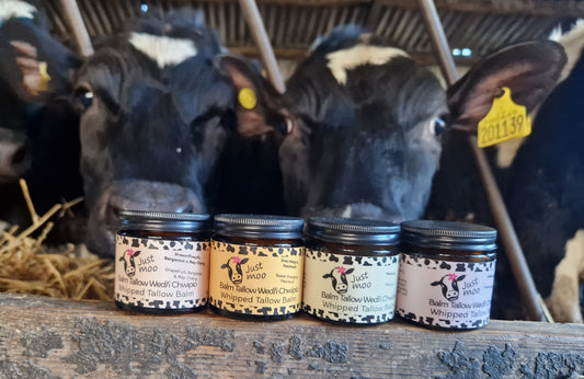 Whipped Tallow Balm