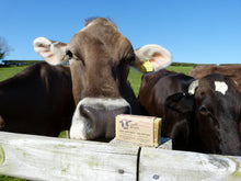 Load image into Gallery viewer, Lavender Cows Milk Soap