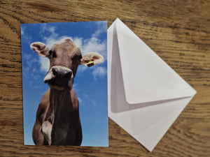 Cow Greeting Cards