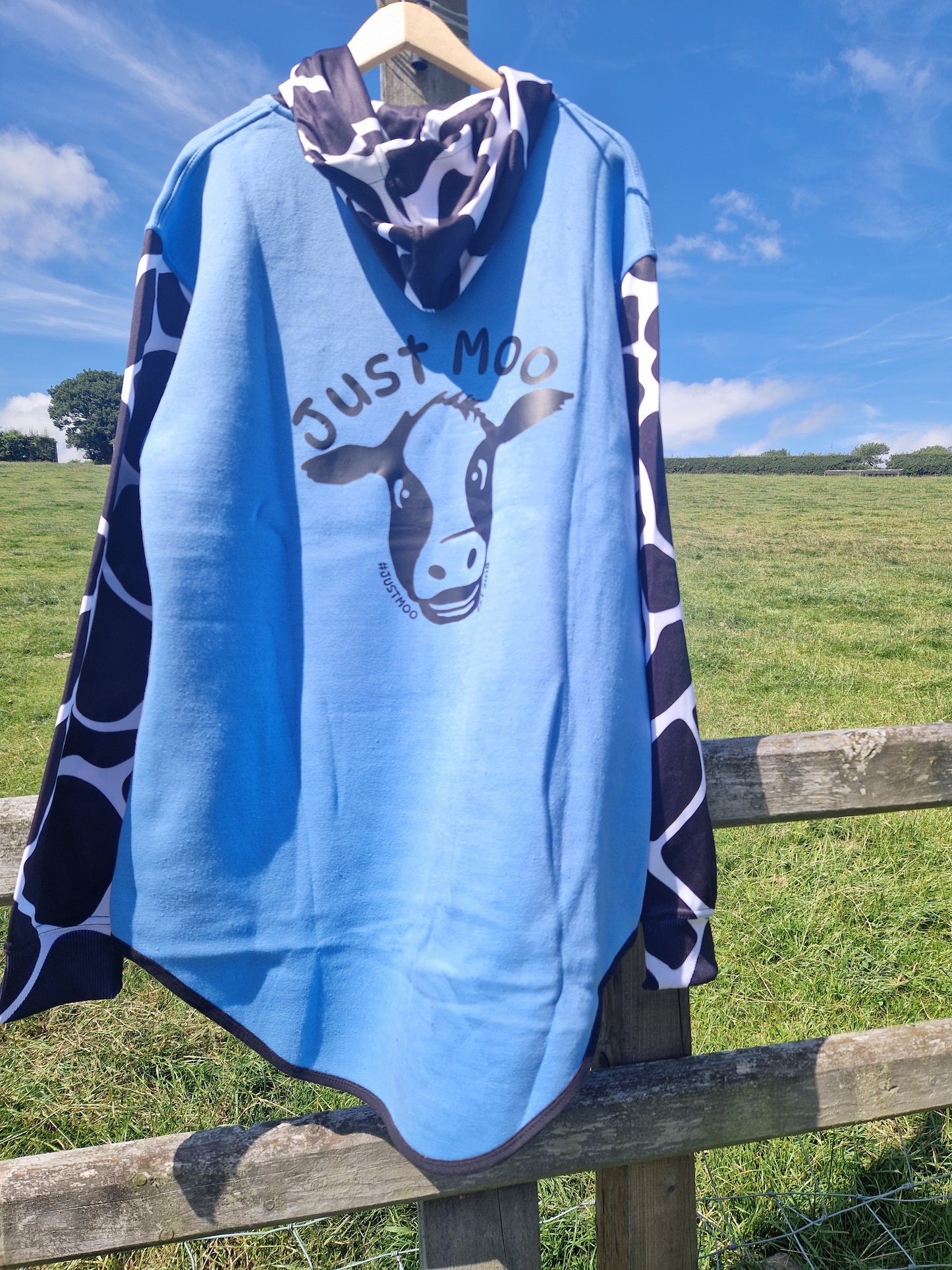 Light Blue Long Tail Sheering Hoodie