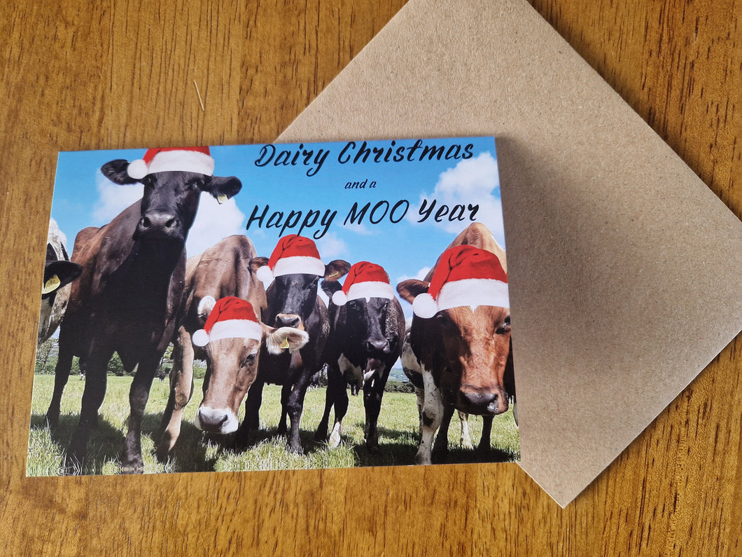 Christmas Cow Cards